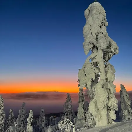 Huoneisto Fjällen Crest Ski-in Ski-out By Aavalevi *